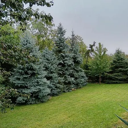 Hét Fenyő / Seven Pines House Casa vacanze