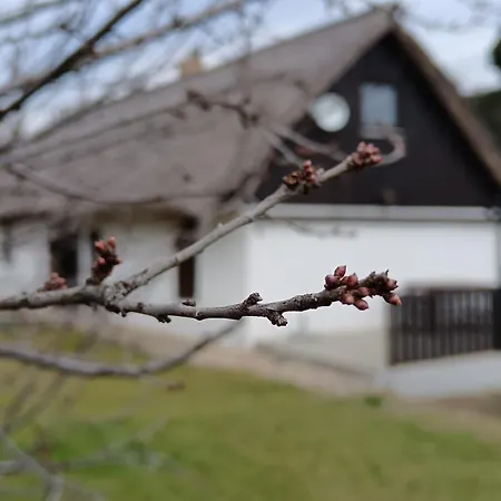 Het Fenyo Vendeghaz / Seven Pines House Tatil Evi Sukoró