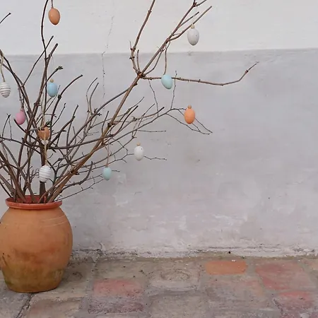 Hét Fenyő / Seven Pines House Nyaraló Sukoró