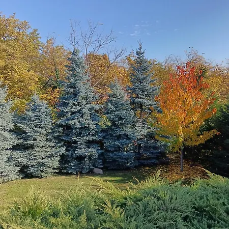 Het Fenyo Vendeghaz / Seven Pines House Tatil Evi