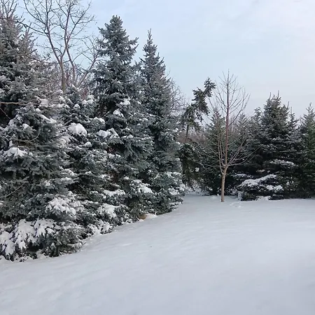 Hét Fenyő / Seven Pines House Nyaraló