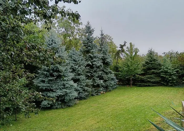 Het Fenyo Vendeghaz / Seven Pines House Tatil Evi