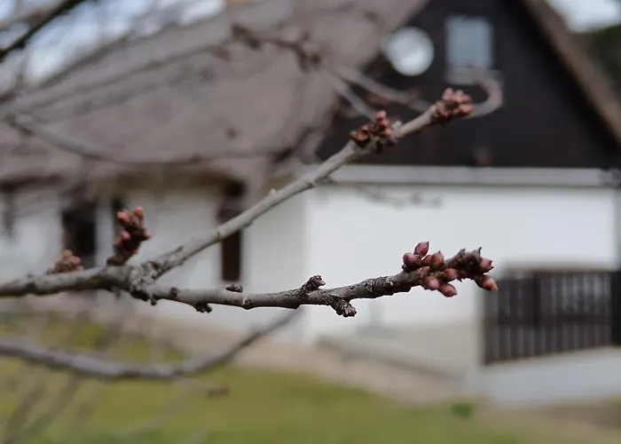 Het Fenyo Vendeghaz / Seven Pines House Holiday home Sukoro